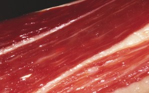 jamon3