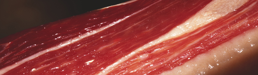 jamon3