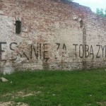 Te echamos de menos judío es la frase escrita en polaco en el muro