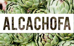 alcachofa perder peso