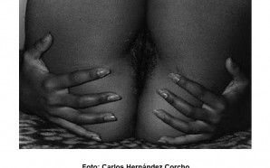 Nueva imagen (1)