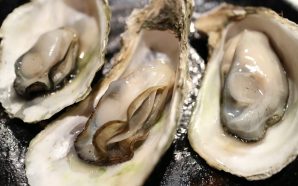 oyster-989182_1280