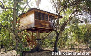 CASA EN EL ARBOL DESBROZASORAS