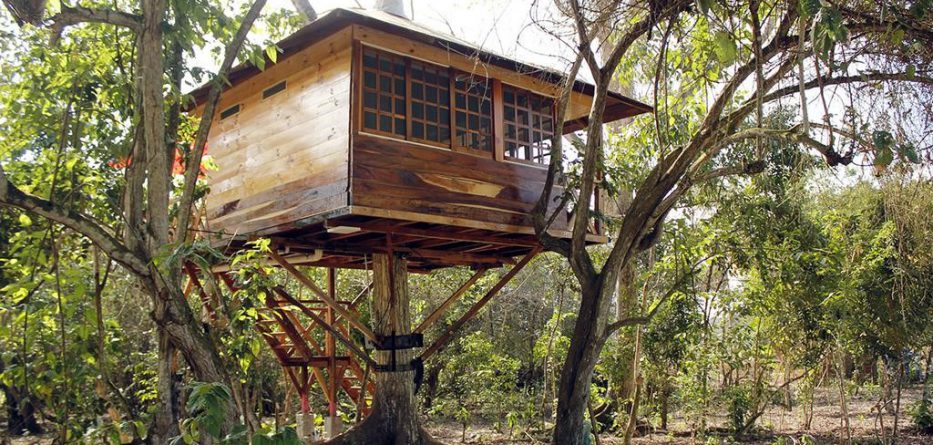 CASA EN EL ARBOL DESBROZASORAS