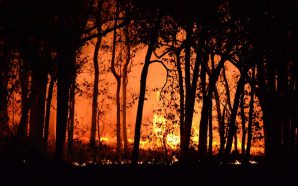 reclamacion daños incendio