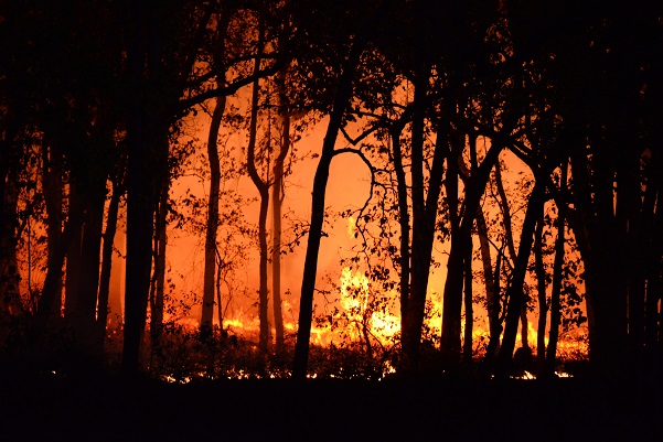 reclamacion daños incendio